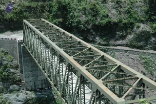 A green steel truss bridge spans a deep rocky gorge in a mountainous, forested landscape. Its lattice of diagonal beams and riveted members runs diagonally across the frame, with a concrete abutment and retaining wall on the left and a narrow road deck visible beneath. Steep slopes covered in dense green shrubs and trees rise behind it, and a few small grazing animals are visible near the base of the left abutment. No people are visible.