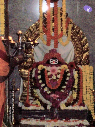 2007-KARTHIKAI-SOMAVARA-AND-NAVAGRAHA-HOMA-HYDERABAD