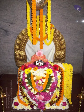 2007-KARTHIKAI-SOMAVARA-AND-NAVAGRAHA-HOMA-HYDERABAD