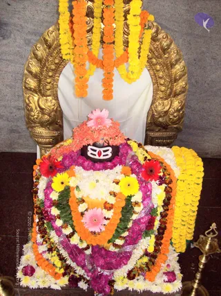 2007-KARTHIKAI-SOMAVARA-AND-NAVAGRAHA-HOMA-HYDERABAD