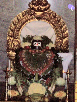2007-KARTHIKAI-SOMAVARA-AND-NAVAGRAHA-HOMA-HYDERABAD