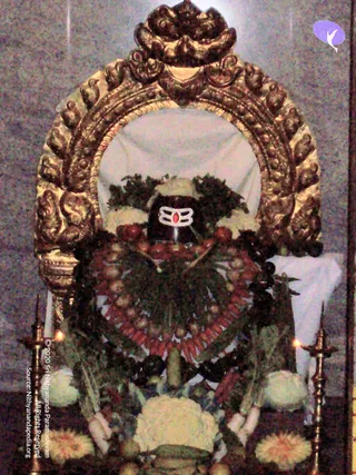 2007-KARTHIKAI-SOMAVARA-AND-NAVAGRAHA-HOMA-HYDERABAD