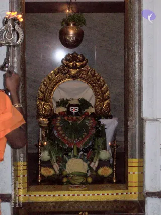 2007-KARTHIKAI-SOMAVARA-AND-NAVAGRAHA-HOMA-HYDERABAD