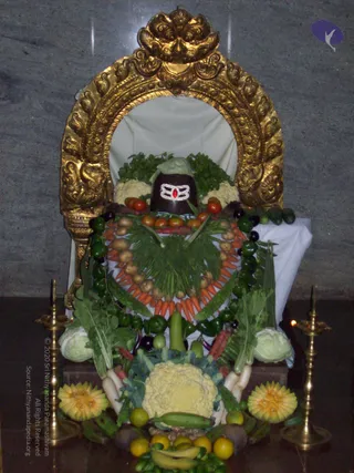 2007-KARTHIKAI-SOMAVARA-AND-NAVAGRAHA-HOMA-HYDERABAD