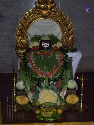 2007-KARTHIKAI-SOMAVARA-AND-NAVAGRAHA-HOMA-HYDERABAD