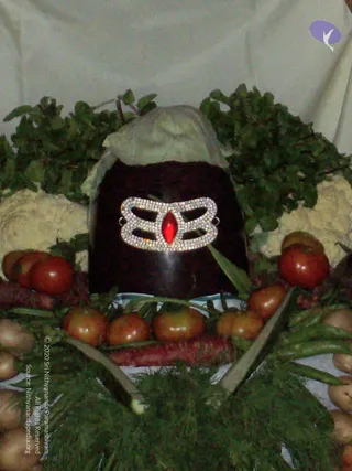 2007-KARTHIKAI-SOMAVARA-AND-NAVAGRAHA-HOMA-HYDERABAD