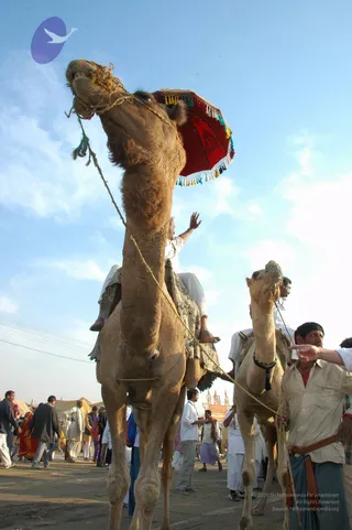 2007-KumbhMela-Allahabad-from-Jan-18th-to-25th