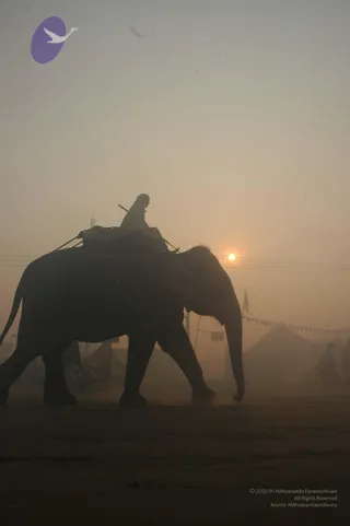 2007-KumbhMela-Allahabad-from-Jan-18th-to-25th