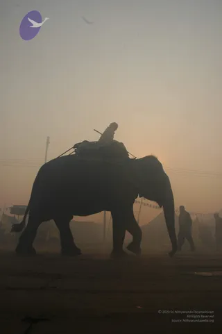2007-KumbhMela-Allahabad-from-Jan-18th-to-25th