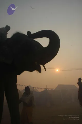 2007-KumbhMela-Allahabad-from-Jan-18th-to-25th