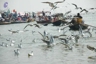 2007-KumbhMela-Allahabad-from-Jan-18th-to-25th