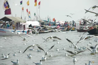 2007-KumbhMela-Allahabad-from-Jan-18th-to-25th