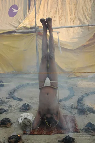 A photograph of a bare-bodied yogi performing a headstand (sirsasana) on a leopard-print mat outdoors at a Kumbh Mela camp. His legs point straight up, held near the knees and waist by a rope tied around his body, while a white cloth is wrapped at his groin. Behind him a yellow tarpaulin tent is strung with bamboo poles and rope. Smouldering dhuni fire pits ringed with dark ash surround him, with a small brass cup, a metal tool and a folded white cloth bundle on the ground. The scene shows sadhu austerity practice. No face is visible and no a person candidate is identifiable from appearance.