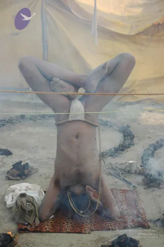 A photograph of an ascetic performing a headstand yoga posture on a leopard-print mat in a smoky outdoor camp. His legs are crossed and locked above his head, with a white cloth tied around his lower body and a rope wrapped around his waist, and two taut ropes stretch horizontally behind him. Around him lie blackened fire-pit ashes, a metal cup, a metal tool, a folded white cloth and a canvas bag. A yellow tent canvas forms the background.
