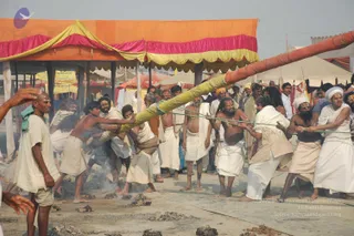 A photograph of sadhus and devotees hauling a long pole wrapped in red and yellow cloth, pulling together on ropes across a sandy, ash-strewn ground at the Kumbh Mela. Many men wear white dhotis and white shawls; several have bare chests, rudraksha-style necklaces and tilak or vibhuti marks on their foreheads. Behind them stands a striped orange, yellow and pink canopy and white tents under a hazy sky. Smouldering embers and burnt logs lie scattered on the ground in the foreground.