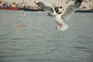 2007-KumbhMela-Allahabad-from-Jan-18th-to-25th