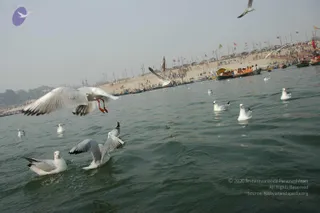 2007-KumbhMela-Allahabad-from-Jan-18th-to-25th