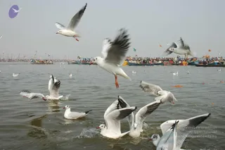 2007-KumbhMela-Allahabad-from-Jan-18th-to-25th