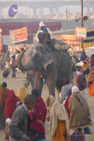 2007-KumbhMela-Allahabad-from-Jan-18th-to-25th