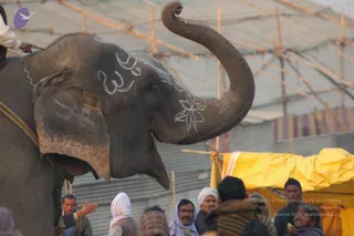 2007-KumbhMela-Allahabad-from-Jan-18th-to-25th