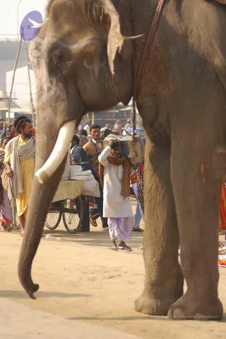 2007-KumbhMela-Allahabad-from-Jan-18th-to-25th