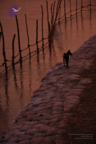2007-KumbhMela-Allahabad-from-Jan-18th-to-25th
