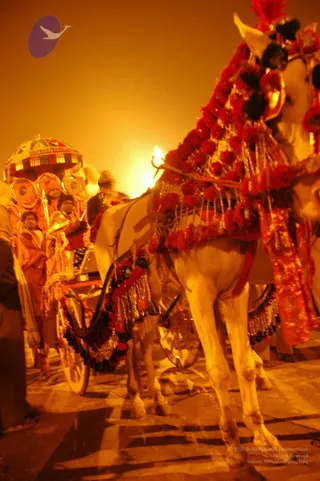 2007-KumbhMela-Allahabad-from-Jan-18th-to-25th