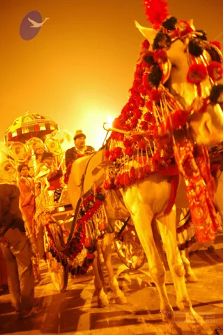 2007-KumbhMela-Allahabad-from-Jan-18th-to-25th
