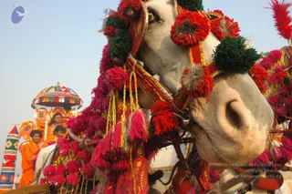 2007-KumbhMela-Allahabad-from-Jan-18th-to-25th
