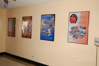 A photograph of a corridor with peach-coloured walls and a light floor, showing four framed posters mounted in a row. The poster on the far right has an orange background with a circular portrait of a woman in orange robes and a beaded necklace, a "WE (Women Empowerment)" heading, body text, and a collage of small photos of group activities. The third poster has a blue background with a "Free Medical Camps in USA & India" heading, a black-and-white portrait at top and a collage of small photos. The two posters on the left are orange with photo collages and text. A small placard labelled "ANANDA SARIKA" stands at the right edge. No people are physically present in the corridor.