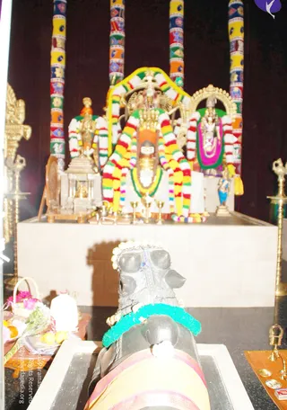 Photograph of a temple shrine with a dark stone linga-like murti draped with a teal garland and pearl strands in the foreground, and a stone or metal deity figure behind it. Behind the altar, tall pillars wrapped in colourful painted fabric rise to the top of the frame, with a crowned deity murti decorated with multicoloured striped garlands at centre and smaller garlanded figures on either side. Brass oil lamps stand at the left and right edges, a basket of flowers and fruit sits at the lower left, and brass ritual items rest on an orange cloth at lower right. No people are visible.