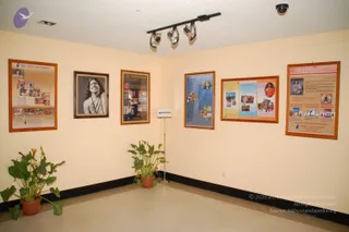 An interior corner of a cream-painted room with a dark baseboard and speckled tiled floor. Several framed posters hang on the walls: at left a poster titled Vedic Rituals and Ceremonies with small photographs, next a black-and-white portrait of a smiling man with long hair and a rudraksha-style necklace, then a dark poster of photographs, a blue poster of photographs headed Kailasa, a multi-panel poster with colourful photographs, and at right a poster headed NITHYA with a portrait and small images. Two potted plants with broad leaves stand on the floor, a small information stand with an arrow sign sits in the corner, and track lights and a ceiling dome camera are mounted above. No people are visible.
