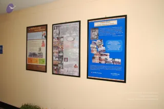 Three framed posters hang on a cream-coloured wall in an interior space, with a small green plant visible at the bottom edge. The left poster, brown with a Life Bliss Technology heading, shows a small figure running and orange, yellow and green panels. The centre poster is pale with a Nithyananda Gurukul heading and a column of small photographs of children and group activities, plus a black-and-white portrait at top. The right poster has a blue background, a Gnana Dhan heading, a framed portrait of a seated figure in saffron-toned clothing above a quotation, and a grid of event photographs showing crowds and a stage. No people are present in the photograph.