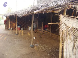 March 18 2007