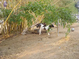 DSC00144_CMP_WM