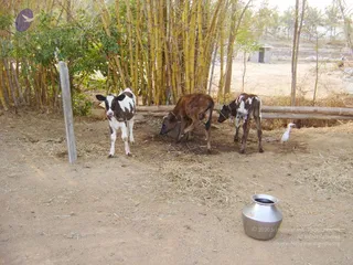 DSC00145_CMP_WM