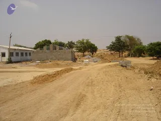 March 29 2007
