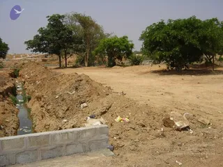March 29 2007