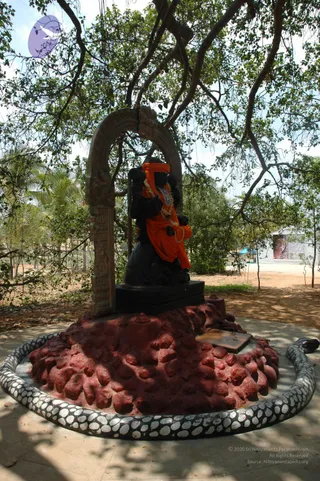 May 04 2007