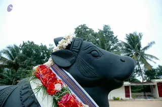 20070924_DSC_877401