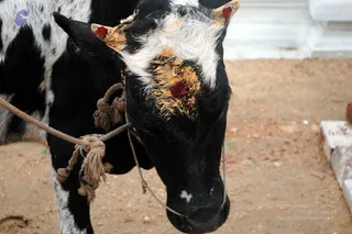 20070924_DSC_867201