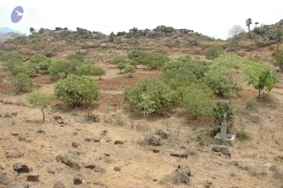 2007-VISUALS-OF-KAILASA-AT-SALEM