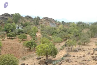 2007-VISUALS-OF-KAILASA-AT-SALEM