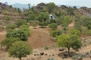 2007-VISUALS-OF-KAILASA-AT-SALEM