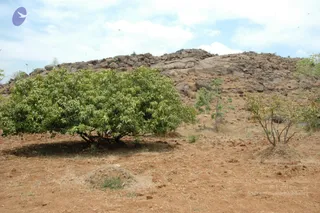 2007-VISUALS-OF-KAILASA-AT-SALEM