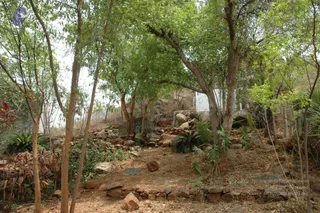 2007-VISUALS-OF-KAILASA-AT-SALEM