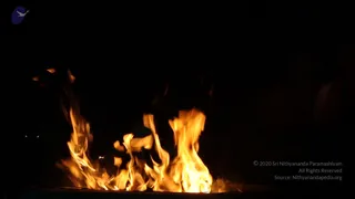 April 21 2008