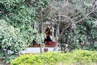 December 10 2008