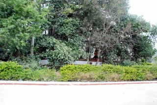 December 10 2008