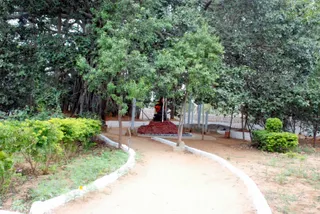 December 10 2008
